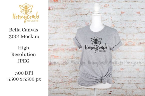 BC3001 Mockup: Graphics for T-Shirts