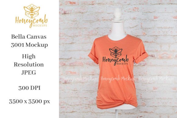 Bella Canvas 3001 Mockup for T-Shirts & Graphics